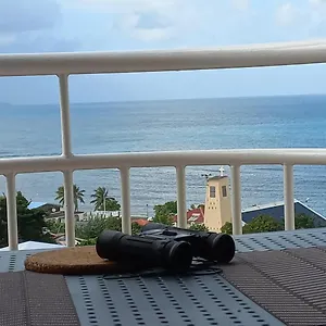 https://tartane-rite-des-rhums-studio-329-et-faune-et-flore.comcaribbean.com