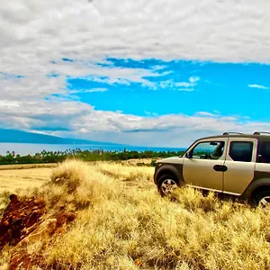 Campervan/maui Hosted By Go Camp Maui Apartment Kihei